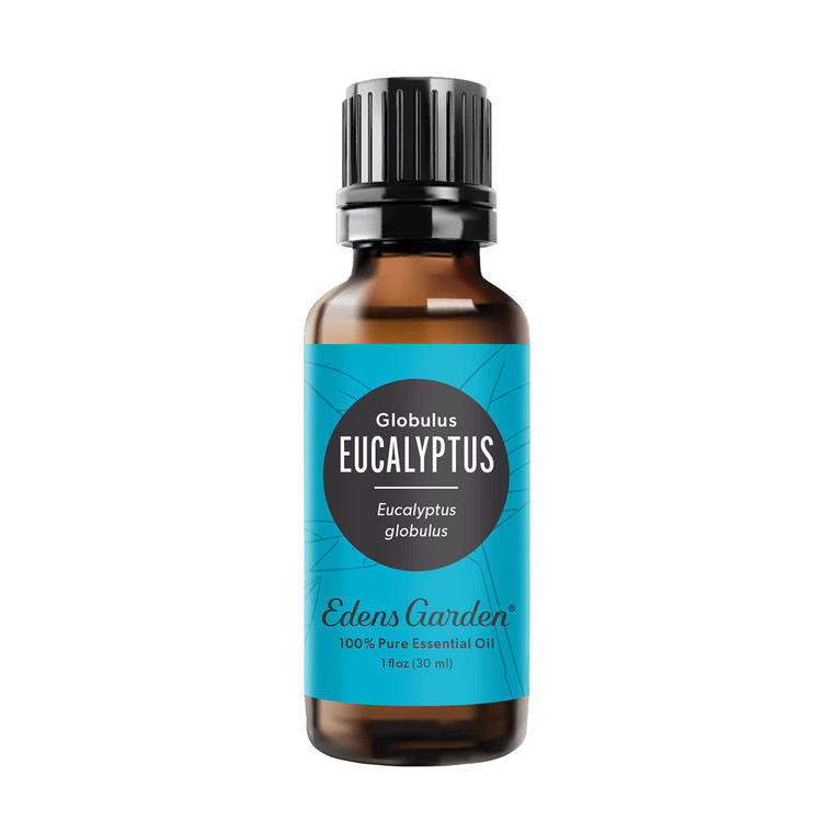 Edens Garden Eucalyptus - Globulus Essential Oil- 100% Pure Premium Grade, Undiluted, Natural, Therapeutic, Aromatherapy, The Best for Diffuser, Cand
