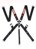 RACEQUIP Harness (742002)