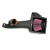 Banks Power 41870 Banks Ram-Air Intake System Fits 11-14 F-150