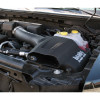 Banks Power 41882-D Banks Ram-Air Intake System Fits 11-14 F-150