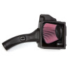Banks Power 41882 Banks Ram-Air Intake System Fits 11-14 F-150