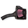 Banks Power 41882 Banks Ram-Air Intake System Fits 11-14 F-150