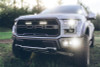 Rigid Industries 41610 D-Series LED Fog Light Kit Fits 17-20 F-150
