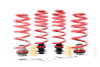 H&R VTF Adj Lowering Springs 23013-2