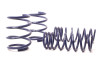 H&R Sport Springs 29205