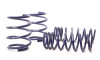 H&R Sport Springs 29205
