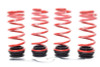 H&R VTF Adj Lowering Springs 23000-5