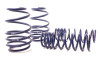 H&R Sport Springs 29991-1