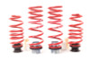 H&R VTF Adj Lowering Springs 23007-1