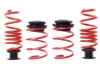 H&R VTF Adj Lowering Springs 23017-1