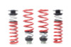 H&R VTF Adj Lowering Springs 23011-2