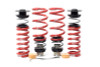 H&R VTF Adj Lowering Springs 23002-5