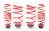 H&R VTF Adj Lowering Springs 23001-2