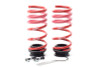 H&R VTF Adj Lowering Springs 23008-1