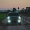 Rigid Industries 50482 D-Series Dual Fog Light Kit