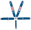 Simpson Safety 29102BK Lever Camlock Safety Harness