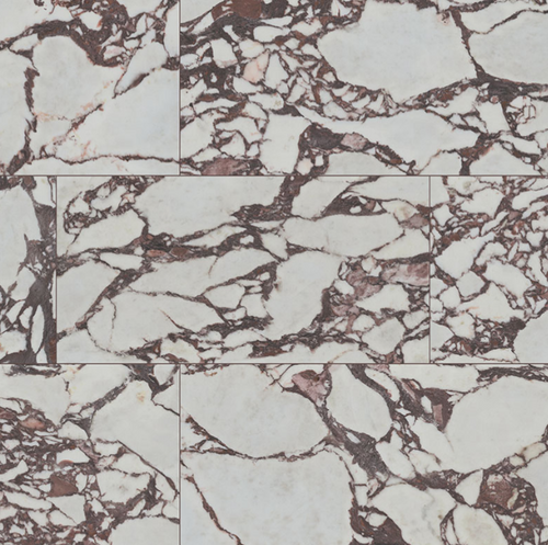 Exotika Violetta Polished Porcelain Tile 24X48- 029