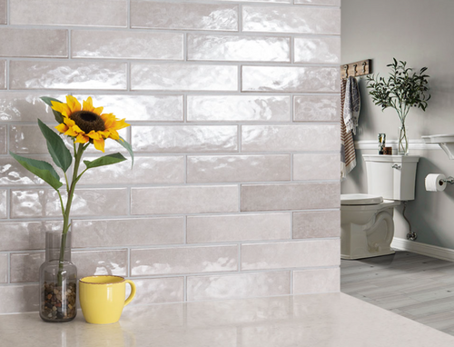 Renzo Sterling Glossy Ceramic Tile- 029
