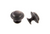 Button Knob Oil Rubbed Bronze 30mm- 061