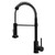 Loxton 228 Matte Black Kitchen Faucet