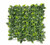 Hazel Hedge