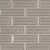 Dove Gray 2x6 Beveled Tile- 029