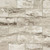 Pietra Bernini Camo Polished 2X4- 029