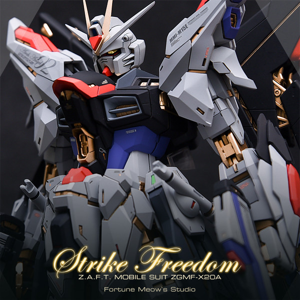 MG Strike Freedom Resin Conversion Kit