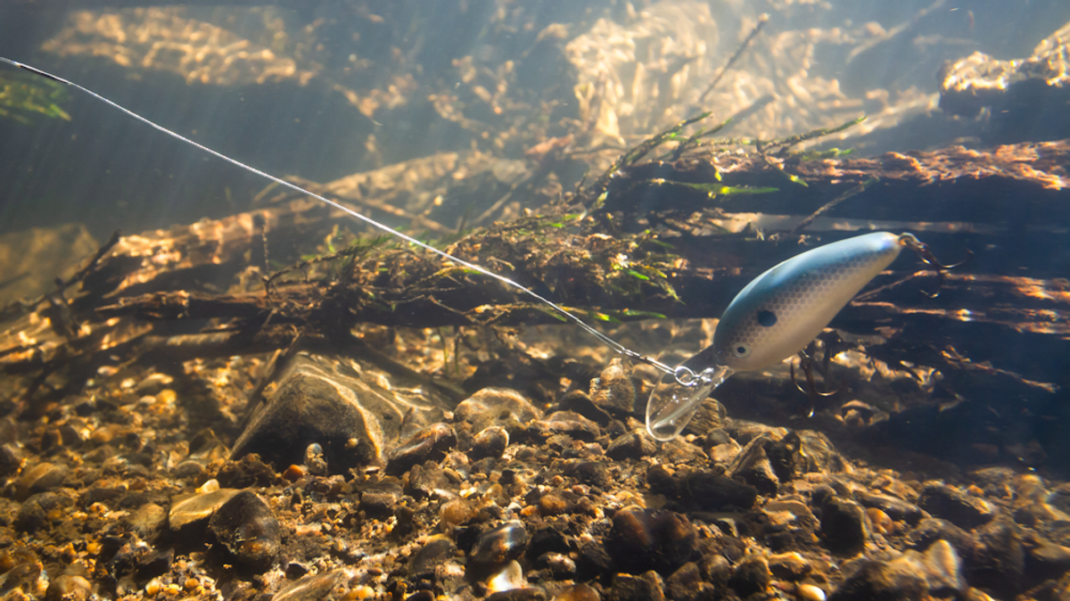 Picking The Right Crankbait (Bass Fishing Tips For Beginners)