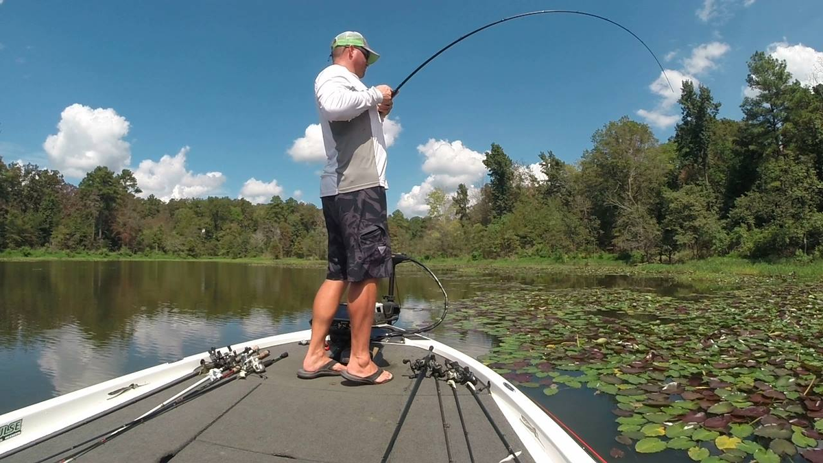 Impulse Quick Tips: Catching Bass with Frog Baits - Impulse Rods