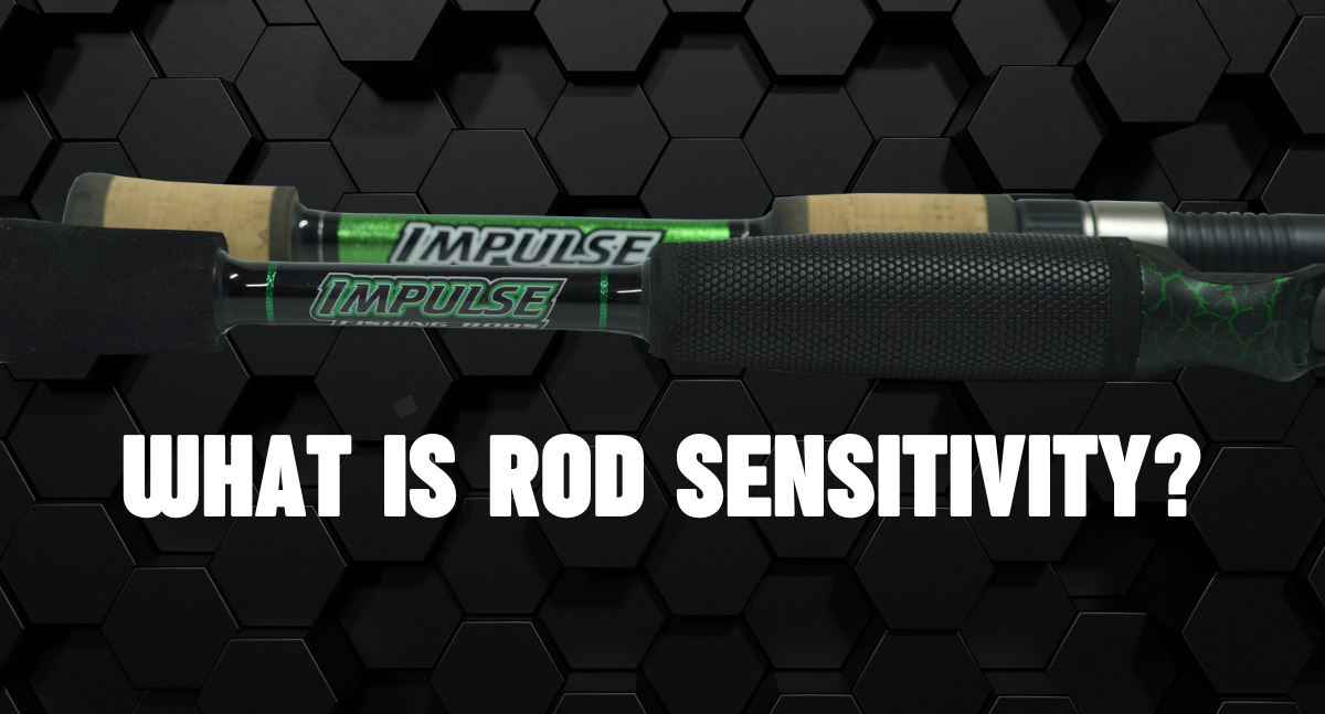 Fishing Rod Sensitivity Explained. - Impulse Rods
