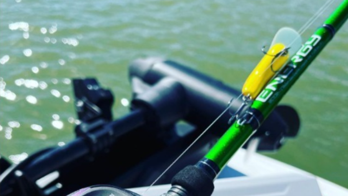 What is fishing rod action?  What is fishing rod action?