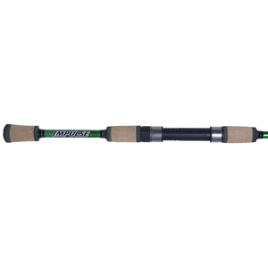 Weightless Worm Rods For Bass Fishing, Spinning & Casting