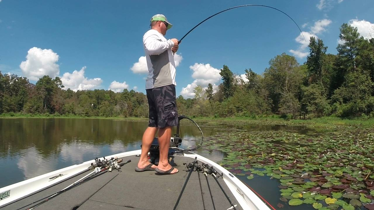 Topwater - Frog Vs. Mouse? - Fishing Rods, Reels, Line, and Knots