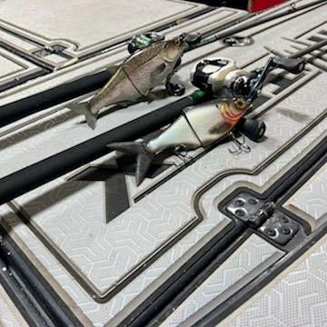 Forward Facing Sonar Rods