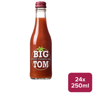 Big Tom Spiced Tomato Juice 24 x 250ml NRB - 54111822_B.jpg