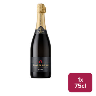 Chapel Down Brut NV 75cl NRB - 49740237_B.jpg