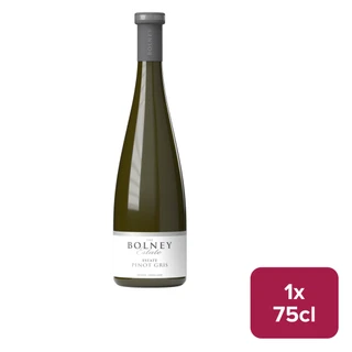 Bolney Estate Pinot Gris 75cl NRB - 49740228_B.jpg