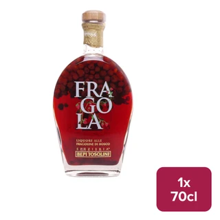 Tosolini Fragola 70cl NRB - 36030350_B.jpg