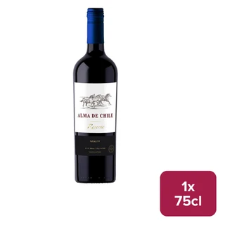 Alma de Chile Merlot Reserva 75cl NRB - 49224858_B.jpg