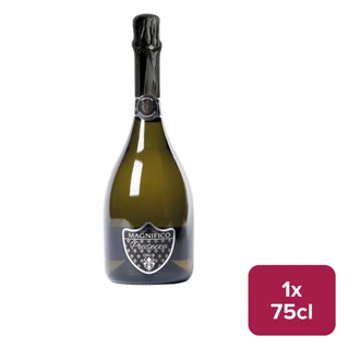 Magnifico Prosecco DOC 75cl NRB - 40180072_B.jpg