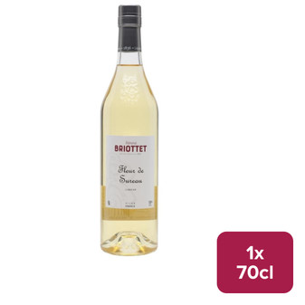 Briottet Elderflower 70cl - 36240457_B.jpg