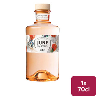 June by G'Vine Wild Peach & Summer Fruits Gin 70cl NRB - 33407651_B.jpg