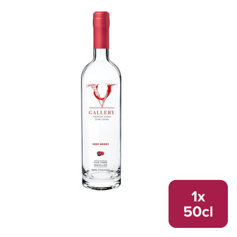 V Gallery Very Berry 50cl NRB - 35012548_B.jpg