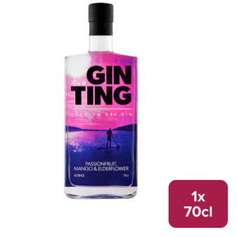GinTing Premium Dry Gin 70cl - 32012340_B.jpg