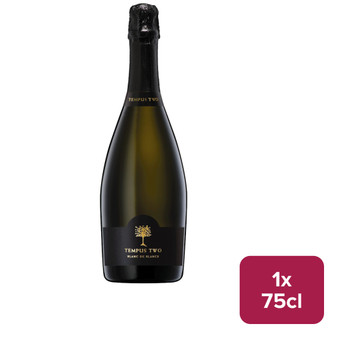 Tempus Two Sparkling Blanc De Blancs 75cl NRB - 49740027_B.jpg