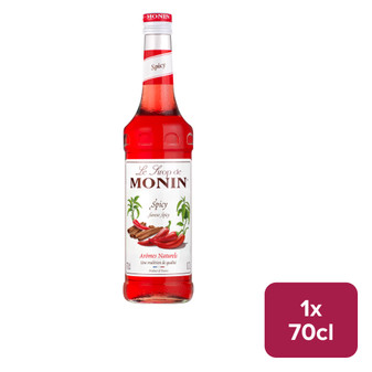 Monin Spicy Syrup 70cl NRB - 36251366_B.jpg