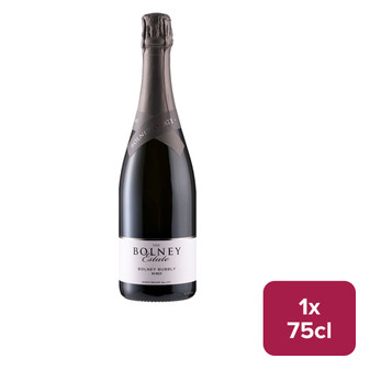 Bolney Estate Bubbly Sparkling Wine 75cl - 47890128_B.jpg