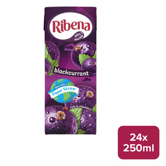 Ribena Blackcurrant 24 x 250ml Carton - 59130538_B.jpg