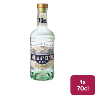 Villa Ascenti Gin 70cl - 36748415_B.jpg
